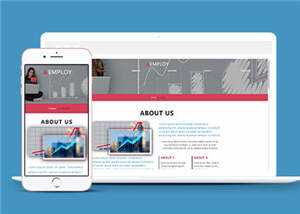 数据分析服务公司HTML网页模板下载 - 网创&网赚 项目教学