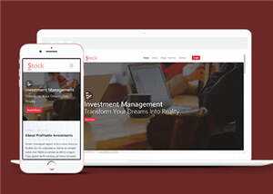 股票金融分析团队HTML网页模板下载 - 网创&网赚 项目教学