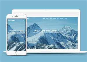 营销企业团队响应式网页模板 - 网创&网赚 项目教学