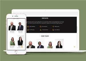 商业贸易服务展示HTML网页模板下载 - 网创&网赚 项目教学