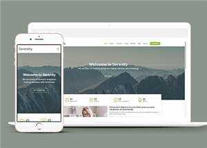 简约业务服务动态响应式网页模板 - 网创&网赚 项目教学