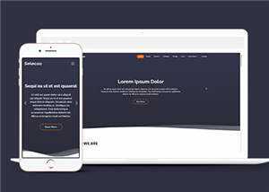 简约业务团队动态响应式网页模板 - 网创&网赚 项目教学