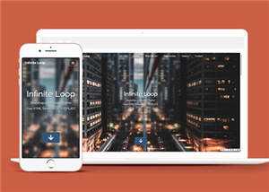 业务团队案例展示网页模板下载 - 网创&网赚 项目教学