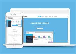 天蓝色CRM管理系统网站模板下载 - 网创&网赚 项目教学