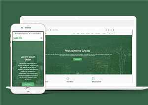 绿色现代创意服务响应式网页模板 - 网创&网赚 项目教学