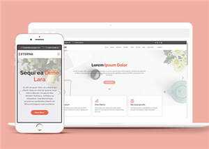 简约营销业务展示响应式网页模板 - 网创&网赚 项目教学