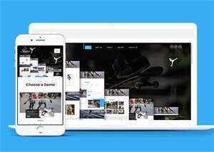 大气简约轮滑培训公司网站模板 - 网创&网赚 项目教学