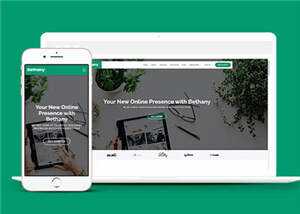 创意投资项目代理响应式网页模板下载 - 网创&网赚 项目教学