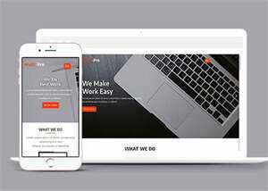 响应式UI设计师项目展示模板 - 网创&网赚 项目教学
