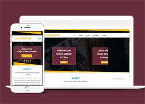 响应式黄色线条简洁网站模板 - 网创&网赚 项目教学