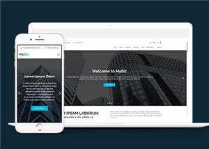 商务代理项目服务响应式网页模板 - 网创&网赚 项目教学