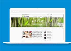 简约基础教育研究中心源码模板下载 - 网创&网赚 项目教学