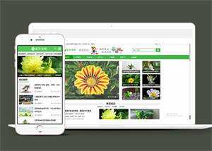 响应式花卉养殖资讯类前端模板 - 网创&网赚 项目教学