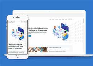 企业商业投资机构自适应网站模板下载 - 网创&网赚 项目教学