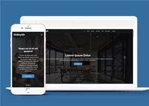 商业团队项目展示响应式网页模板 - 网创&网赚 项目教学