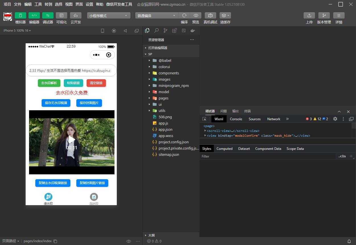 短视频去水印和图片加水印生成微信小程序源码 - 网创&网赚 项目教学