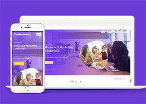 紫色精品商业合作网站模板源码 - 网创&网赚 项目教学