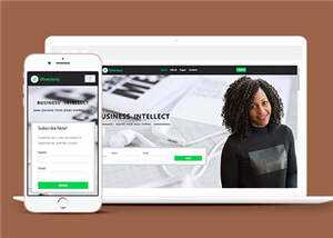 谈判团队展示网页源码模板下载 - 网创&网赚 项目教学