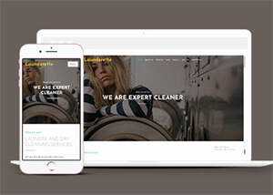 简洁服装洗涤清洗公司网站模板 - 网创&网赚 项目教学