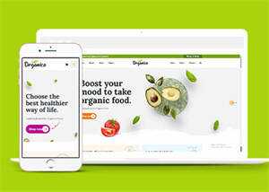 蔬菜水果商店网站响应式模板下载 - 网创&网赚 项目教学