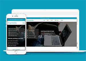 淘宝详情页制作响应式网站模板 - 网创&网赚 项目教学