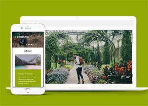 宽屏风景图片拍摄网站模板下载 - 网创&网赚 项目教学