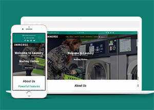 响应式滚筒洗衣机企业网站模板 - 网创&网赚 项目教学
