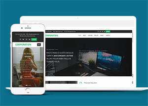 响应式财务管理公司网站模板 - 网创&网赚 项目教学