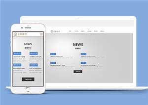 简约金融行业企业前端HTML网页下载 - 网创&网赚 项目教学