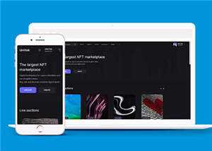 宽屏数字市场交易平台网站模板下载 - 网创&网赚 项目教学