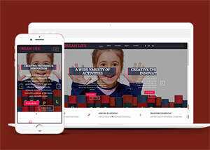 宽屏图书教育HTML网站模板源码 - 网创&网赚 项目教学