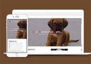 简洁宠物饲养单页HTML模板下载 - 网创&网赚 项目教学