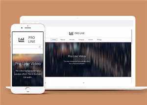 简约专业服务信息在线企业网页模板下载 - 网创&网赚 项目教学
