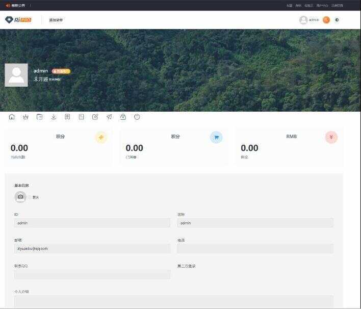RIPro主题 5.4美化包WordPress模板日主题虚拟资源素材下载主题 - 网创&网赚 项目教学