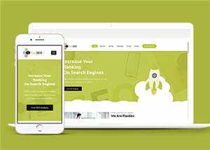 绿色排名优化公司源码模板下载 - 网创&网赚 项目教学