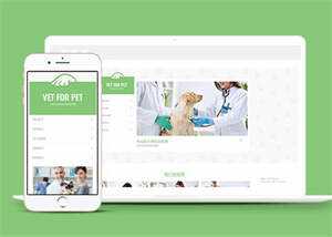 绿色宠物门诊医院前端网站模板 - 网创&网赚 项目教学