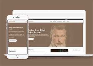 明星御用发型师网站模板下载 - 网创&网赚 项目教学