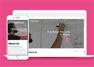 演讲口才培训公司网站模板 - 网创&网赚 项目教学