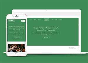 响应式多肉植物种植网站模板下载 - 网创&网赚 项目教学