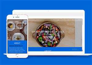 大气美食制作类网站模板下载 - 网创&网赚 项目教学