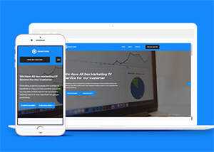 SEO优化团队类网站模板下载 - 网创&网赚 项目教学