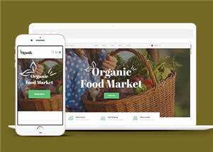 宽屏有机食品农场网页模板下载 - 网创&网赚 项目教学