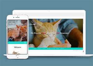 流浪动物领养中心网站模板 - 网创&网赚 项目教学