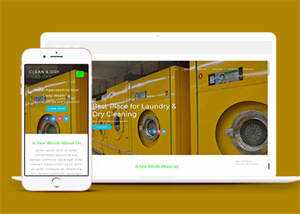 响应式洗衣机维修点网站模板 - 网创&网赚 项目教学