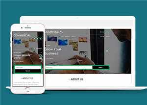 简洁商业贸易服务展示HTML网页模板下载 - 网创&网赚 项目教学