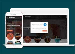 响应式鸡尾酒公司网站模板 - 网创&网赚 项目教学