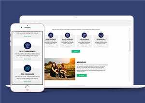 保险公司官方HTML网页模板下载 - 网创&网赚 项目教学