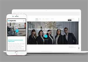 宽屏商务公司CSS3模板下载 - 网创&网赚 项目教学