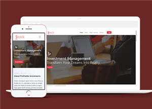 简洁股票金融分析团队HTML网页模板下载 - 网创&网赚 项目教学