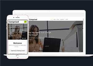 宽屏企业合作商务展示源码模板下载 - 网创&网赚 项目教学